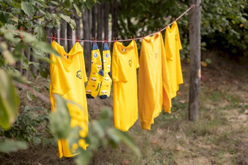 Easy Camp Palmdale 600 Tunneltent - 6 Persoons 11 Easy Camp Palmdale 600 Tunneltent - 6 Persoons - Afbeelding 11