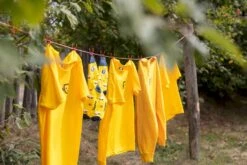 Easy Camp Edendale 600 Tunneltent 6 Persoons - Grijs 31 Easy Camp Edendale 600 Tunneltent 6 Persoons - Grijs -Openlucht Kampeer Winkel 1267 1900 waslijn 1 1