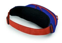 Osprey Daylite Heuptas - Blauw/Oranje -Openlucht Kampeer Winkel 1900 1425 daylitewaist s23 sideback silverliningblueberry 10005144
