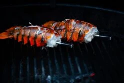 MEATER Block Met 4 Draadloze Thermometers 14 MEATER Block Met 4 Draadloze Thermometers -Openlucht Kampeer Winkel 20190625 mg 6541