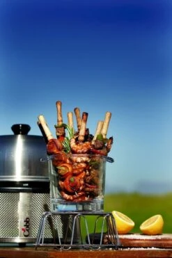 Cobb Pro Premier Air Houtskoolbarbecue - Grijs -Openlucht Kampeer Winkel cobb premier 3