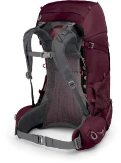 Osprey Renn Backpack - 50 Liter - Paars 18 Osprey Renn Backpack - 50 Liter - Paars -Openlucht Kampeer Winkel osprey renn 50 paars 4