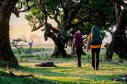 Osprey Renn Backpack - 50 Liter - Paars 27 Osprey Renn Backpack - 50 Liter - Paars -Openlucht Kampeer Winkel osprey rennrook 1